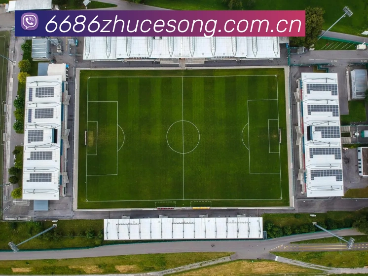 对战数据统计